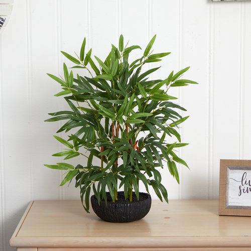 Bay Isle Home 20'' Faux Bamboo Plant in Pot & Reviews Wayfair
